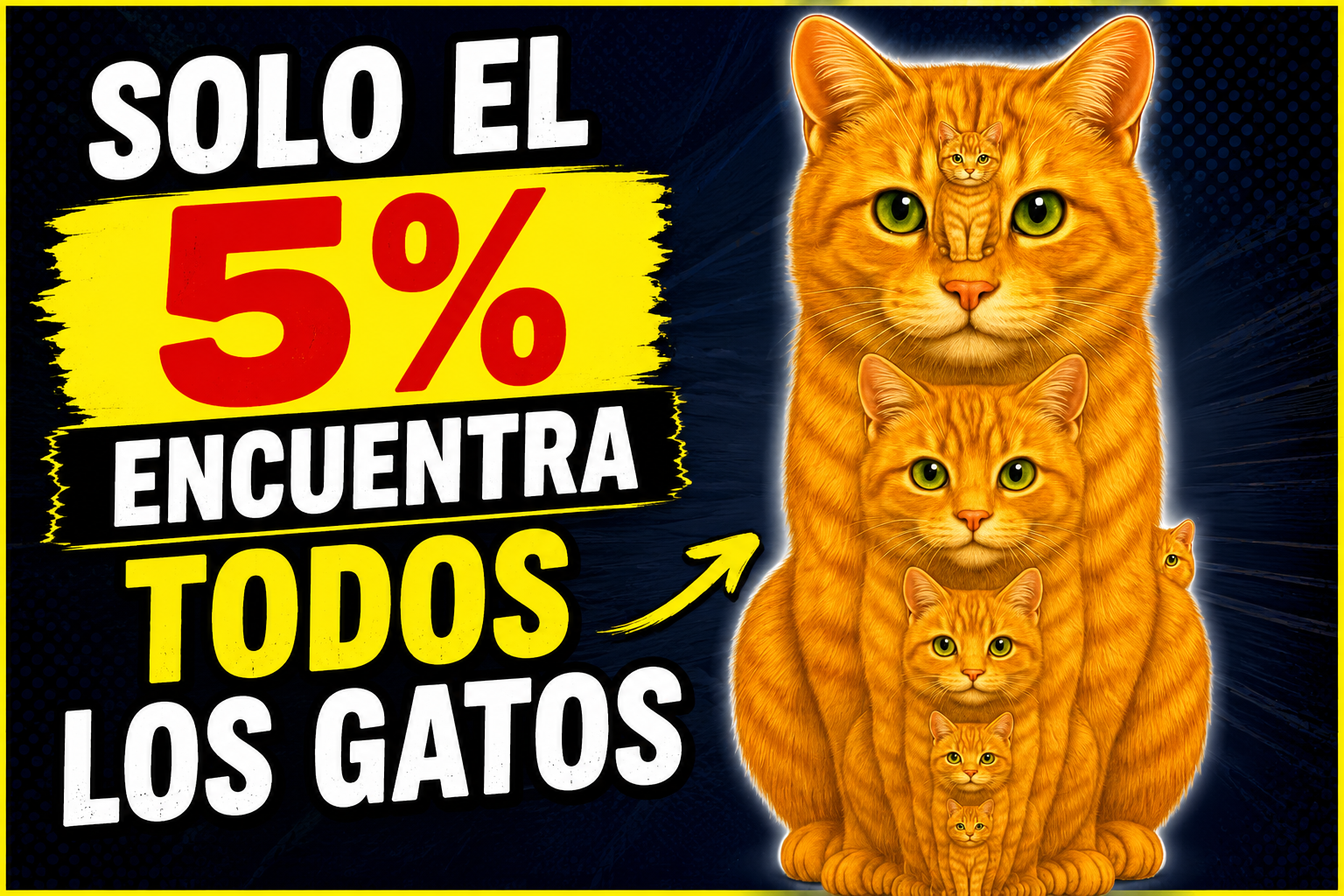 "Solo el 5% encuentra todos los gatos"